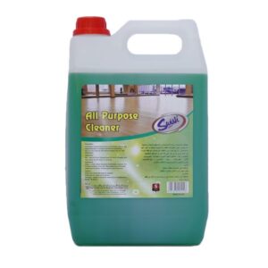 Płyn SWISH Green GLASS SURFACE CLEANER 5L koncentrat